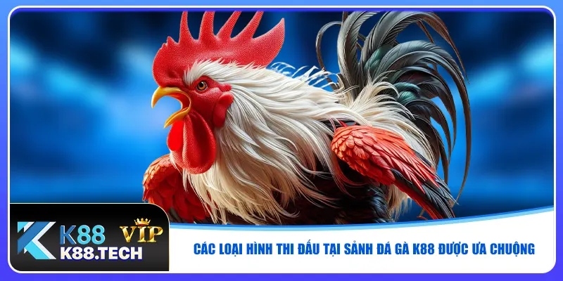 Các loại hình thi đấu tại sảnh đá gà K88 được ưa chuộng Các loại hình thi đấu tại sảnh đá gà K88 được ưa chuộng