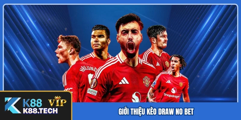 Giới thiệu kèo Draw No Bet